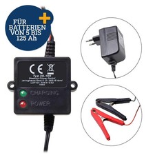 Auto Batterie Erhaltungs