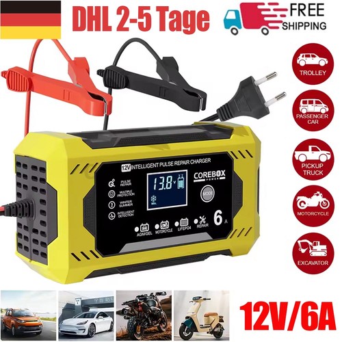 12v intelligentes - 6a,